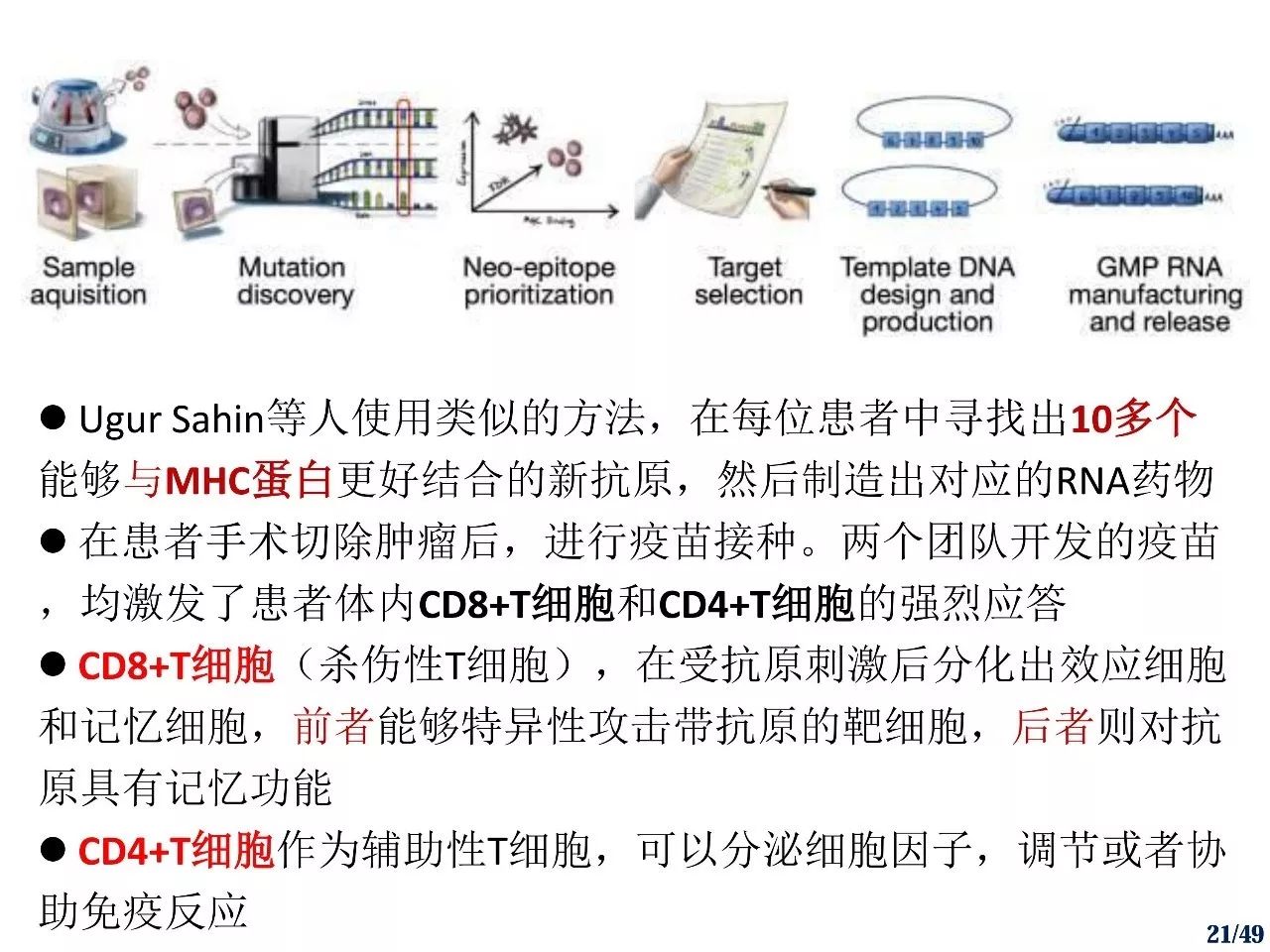 研究肿瘤细胞来源外泌体联合糖脂质致敏树突状细胞疫苗