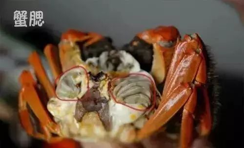 剥完皮的螃蟹怎么吃