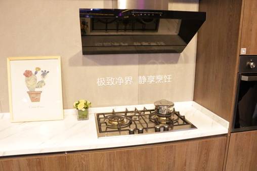 上海CIKB展,卡萨帝艺术厨房引领中国高端厨房生活标准(图9)