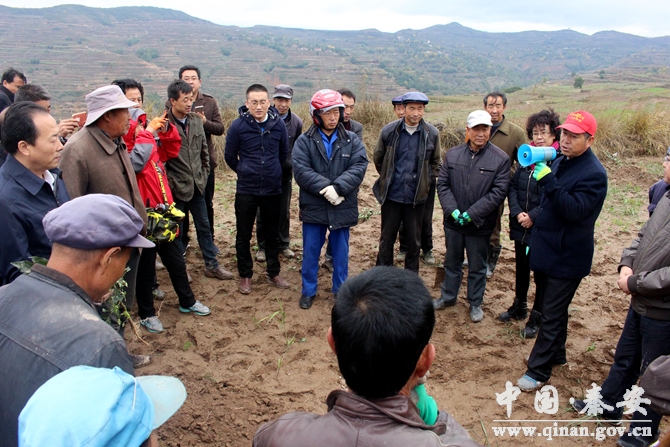 秦安中山镇有多少人口_天水秦安有旅游区吗(2)