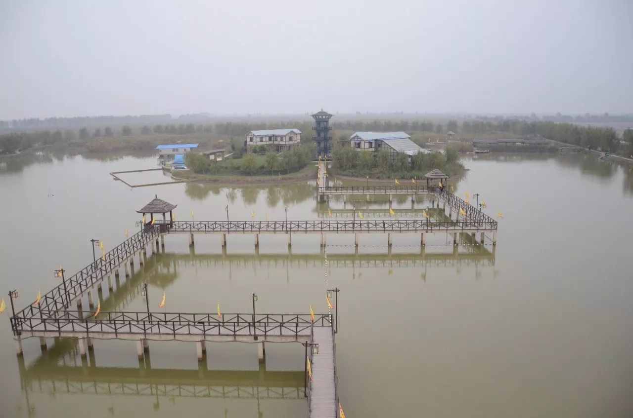 同时,高邮湖又是一座"悬湖",湖水水面以及部分湖底比运东里下河地区的