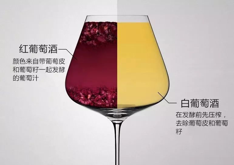 这是因为红葡萄酒的颜色来源于葡萄皮和葡萄籽.