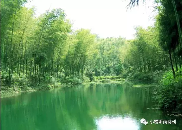 东岩富松竹,岁暮幸同归 王勃《送卢主簿 涧影见松竹,潭香闻芰荷.