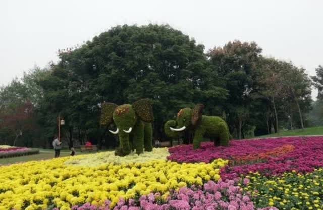 武汉植物园