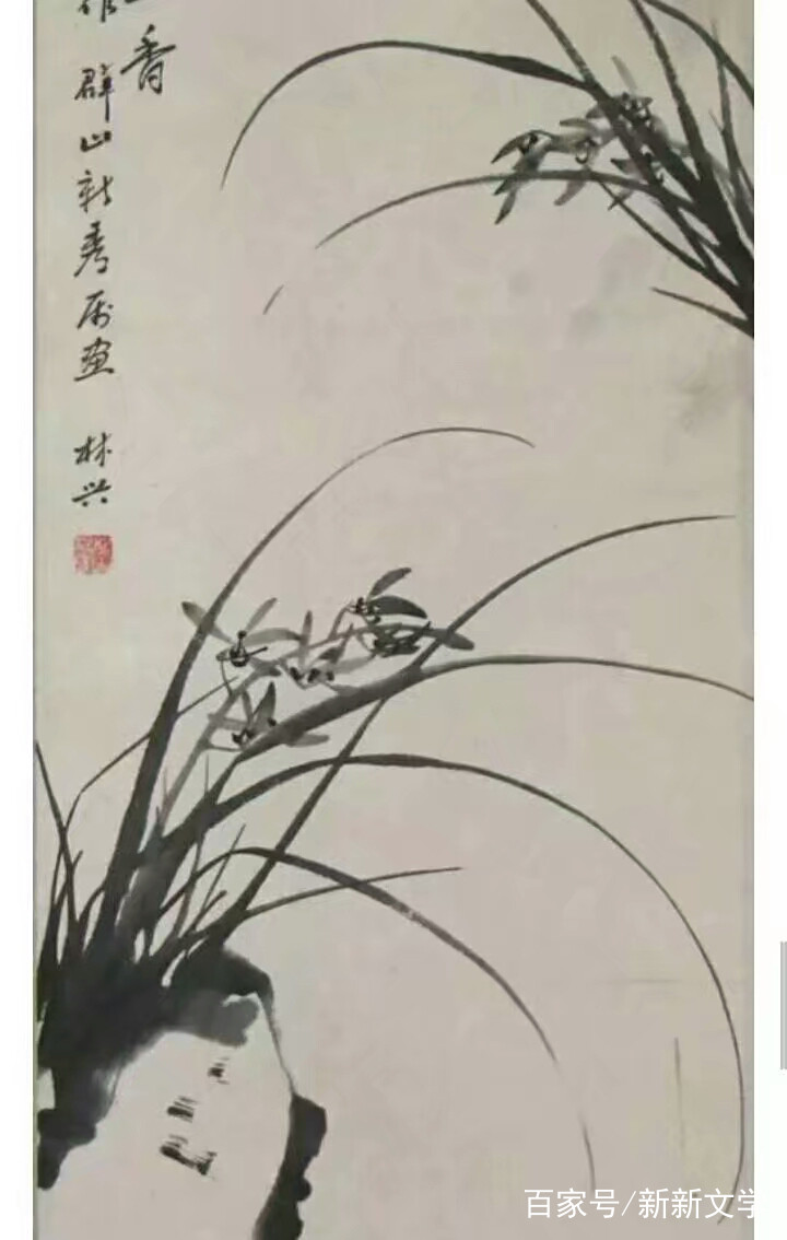 杨运昌(1918-2001)字林兴,号退思斋主,陕西洛南三要人.