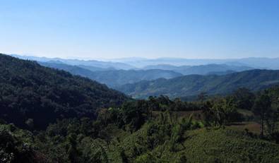 一份最全的云南普洱茶山记录献给茶友们