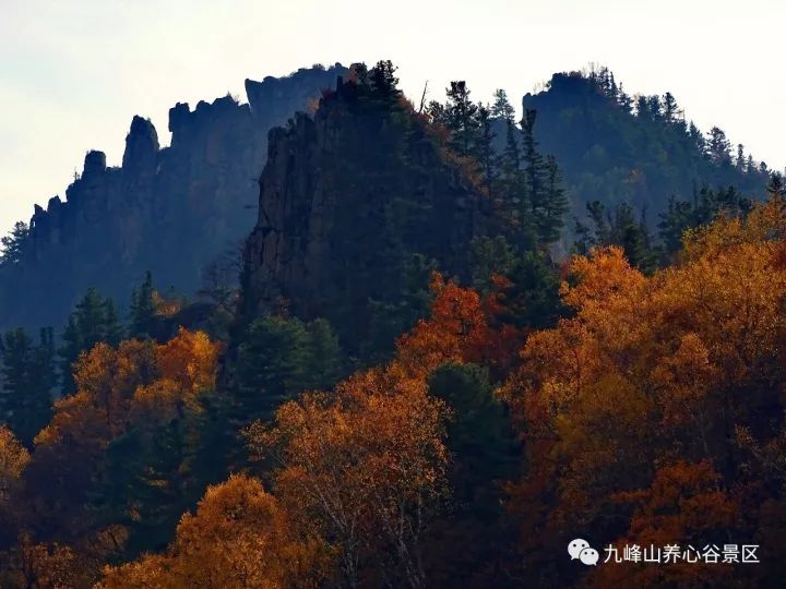 伊春○金山屯 ▏秋登山 冬滑雪 九峰山不见不散