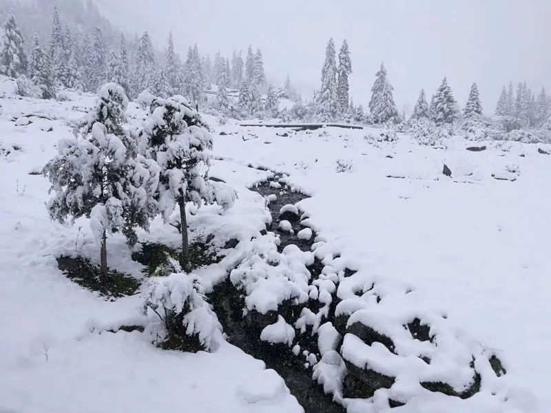 今日实景 | 四姑娘山下雪啦,一场不期而遇的白色眷恋