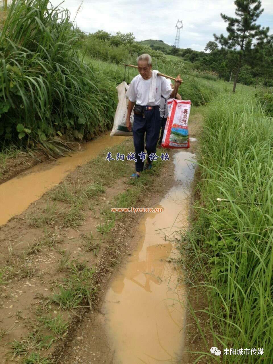 耒阳个镇人口_耒阳大市镇芭蕉(2)