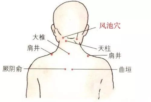 全息刮痧法,人体十二部刮痧——改善体质好方法