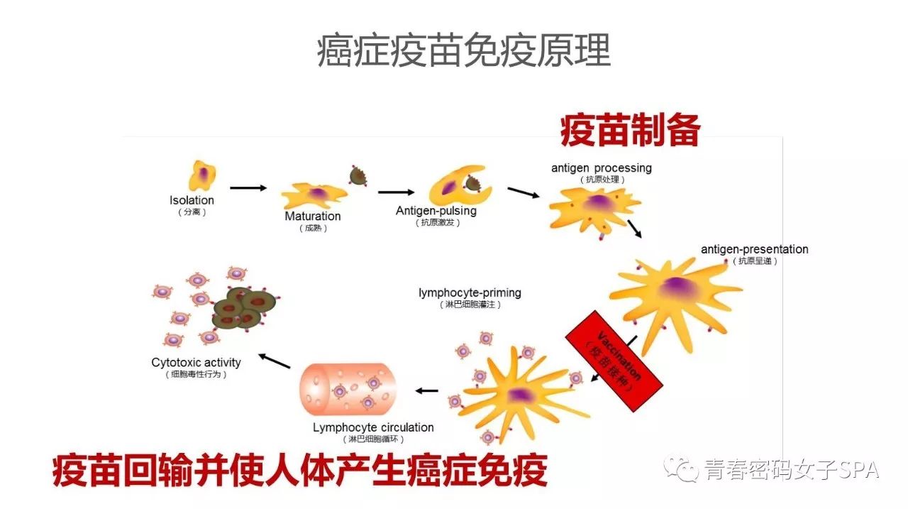 【今日头条】癌症疫苗 - 防治癌症"原子弹"!