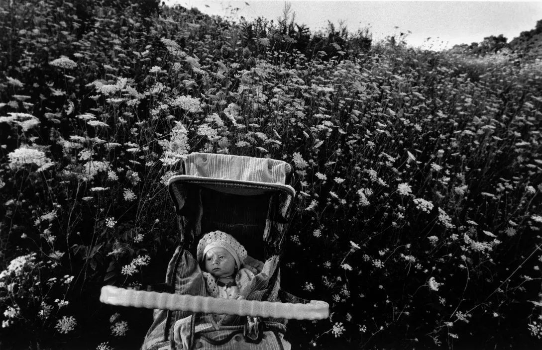 larry towell 拉里·托维尔