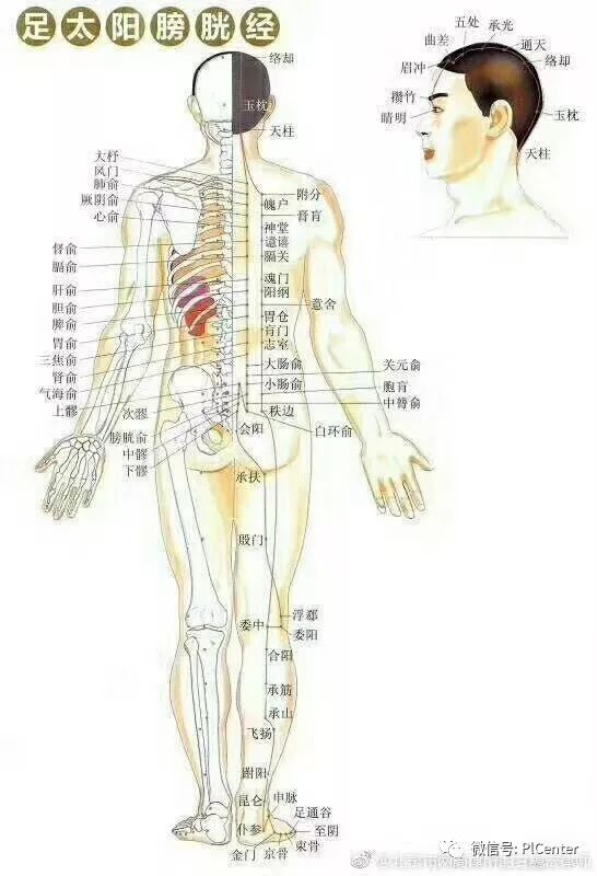 (生命密码)淋巴——人体的清洁工