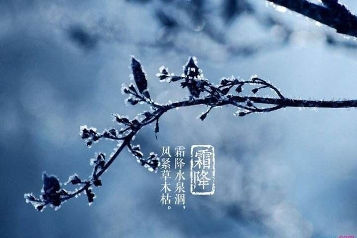 今日霜降 | 深秋柳陌露凝霜,衰草疏疏碧水凉