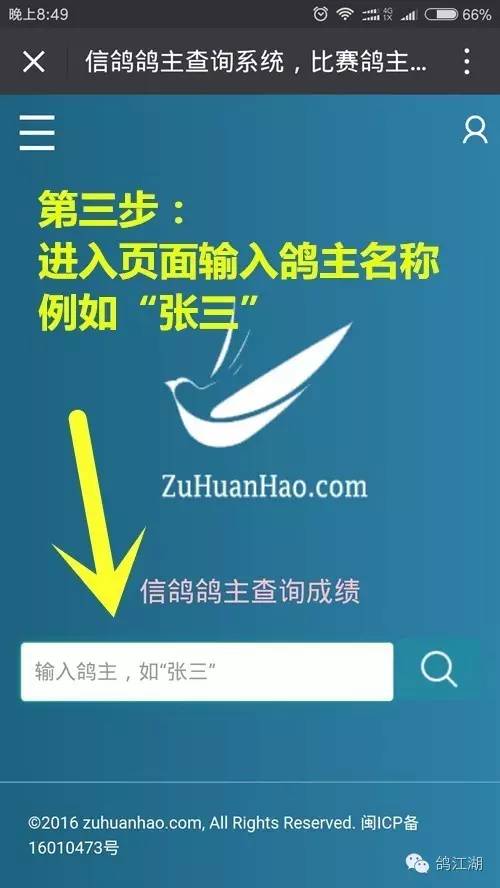 分享 功能最强大的查鸽网,三大功能让你玩转信鸽足环成绩查询网站