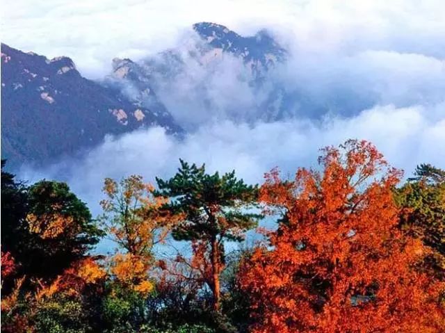 西岳华山惊艳的秋日之美