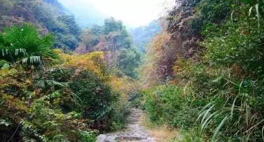 嶀山古道座落于嵊州仙岩镇嶀山,一条历经千年的古道,自西鲍村至石坑