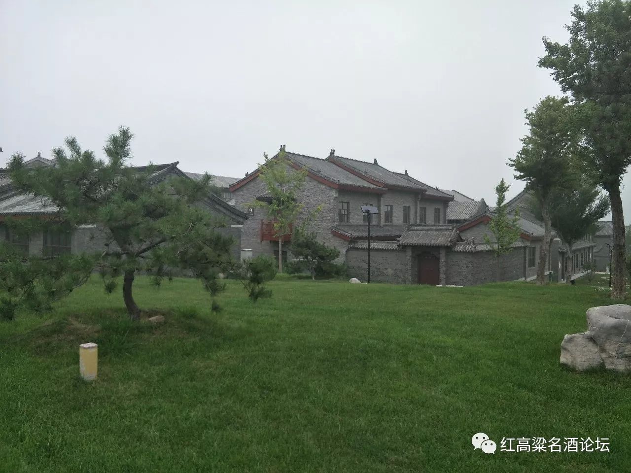 以"酒"为马 畅游齐鲁酒地