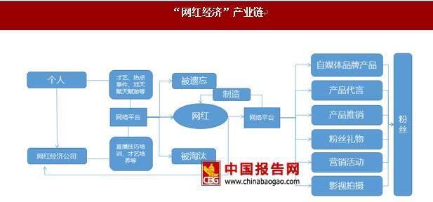 不能不了解的网红和网红经济