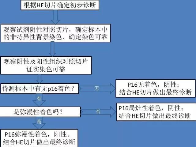 宫颈鳞状上皮内病变p16免疫组化解读