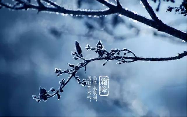 秋处露秋寒霜降,冬雪雪冬小大寒.