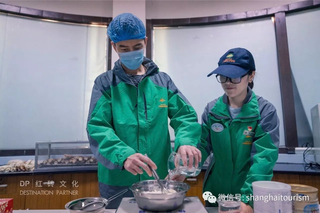 当胡歌遇上大熊猫 上海旅游形象大使变身动物保育员