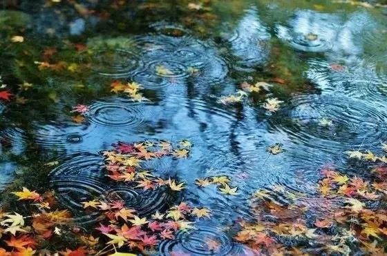 本周山西天气多变 晴雨相间