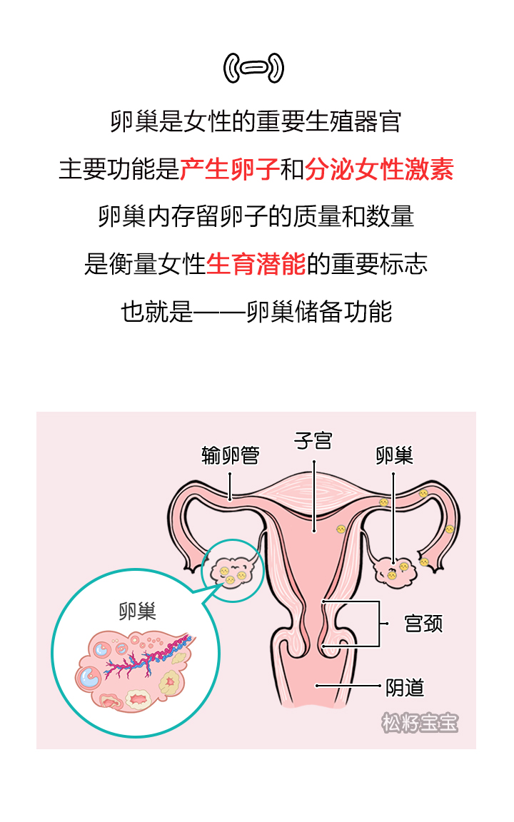 多年不孕你需要全面检查卵巢储备功能