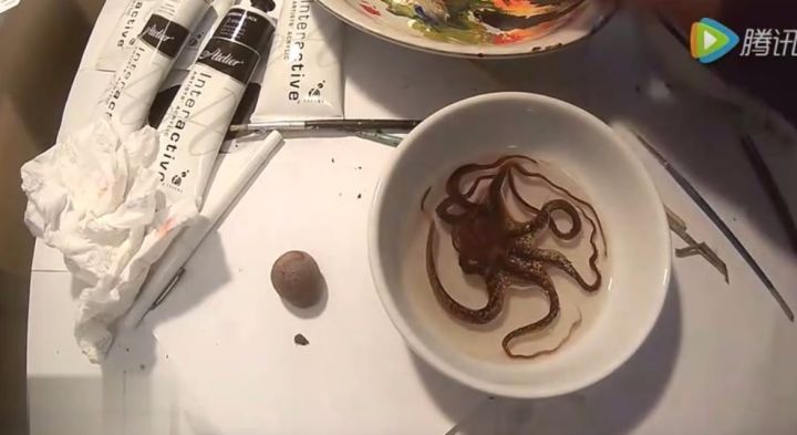 视频丨这也太恐怖了吧,把章鱼居然画活了
