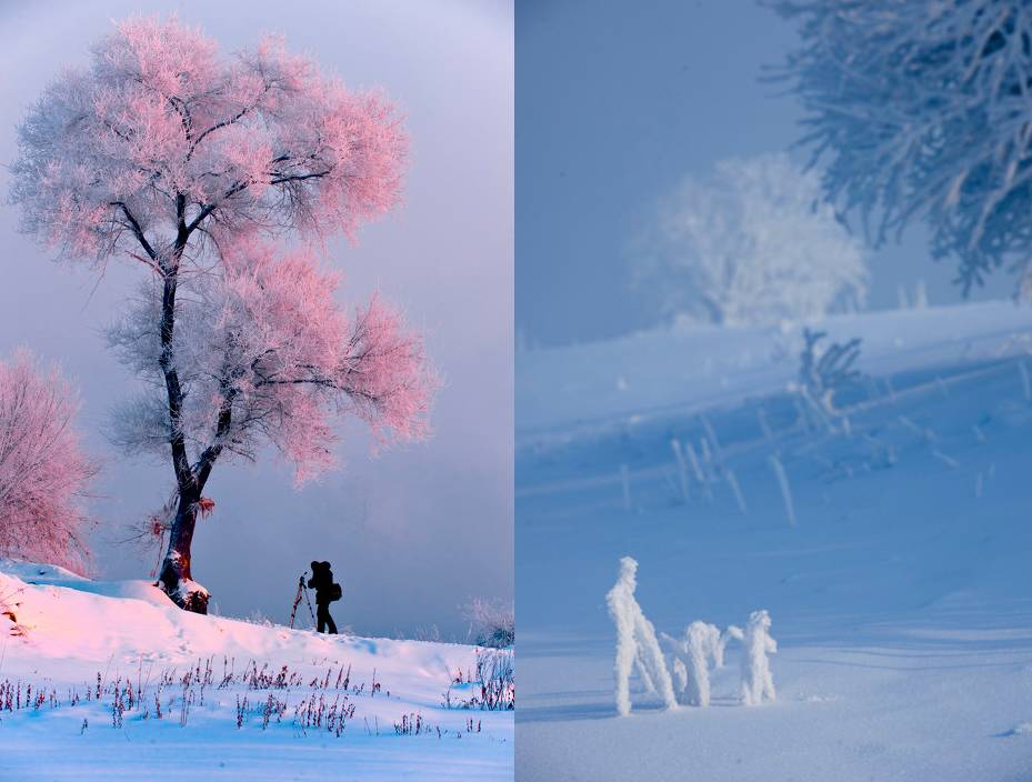 杭州人免费,江浙沪半价.扎进长白山的冰天雪地,有一样