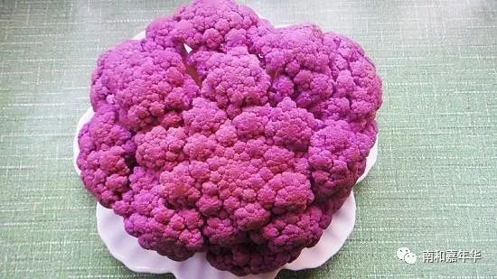 花菜有几种颜色 紫色花菜你敢吃吗