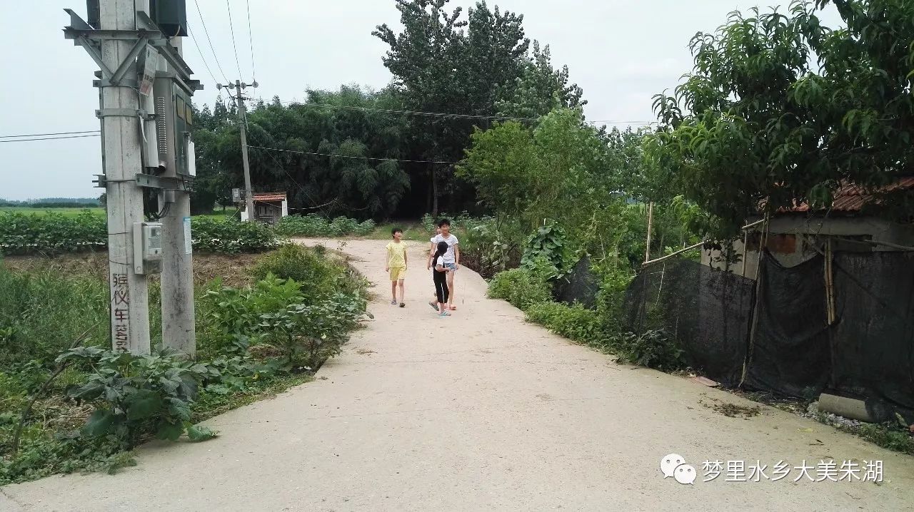 孝感名角大海我问献声:鸡鸣三县,塘口张家山的抗日传奇