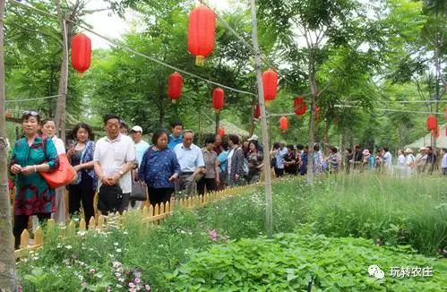 以中草药养生为主题的休闲农业园,北京的"草根堂农场"