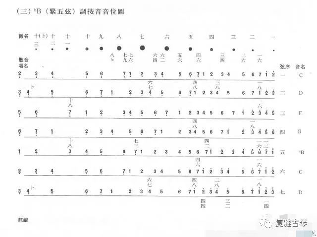 十弦莱雅简谱_天空之城莱雅琴简谱(3)