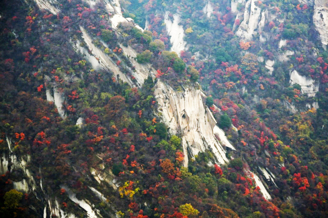 西岳华山惊艳的秋日之美
