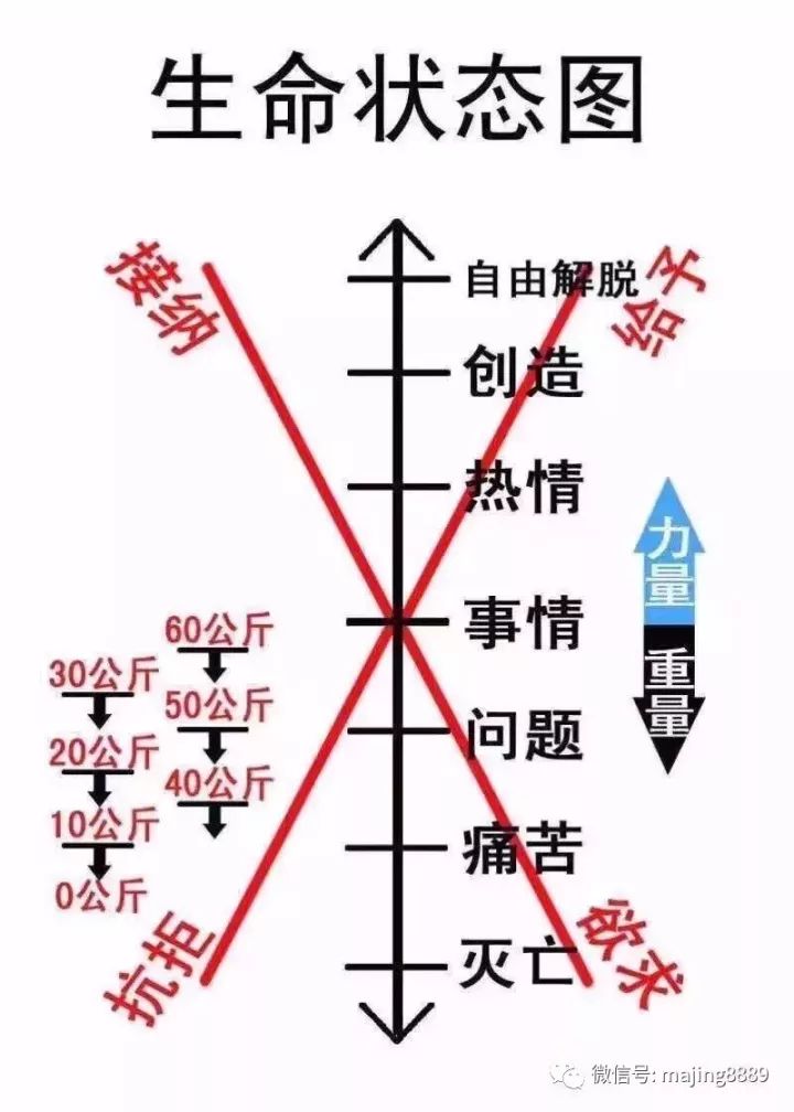 第1单元:生命状态图