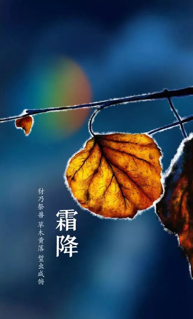 每年公历10月23日左右,霜降节气含有天气渐冷,初霜出现的意思,是秋季