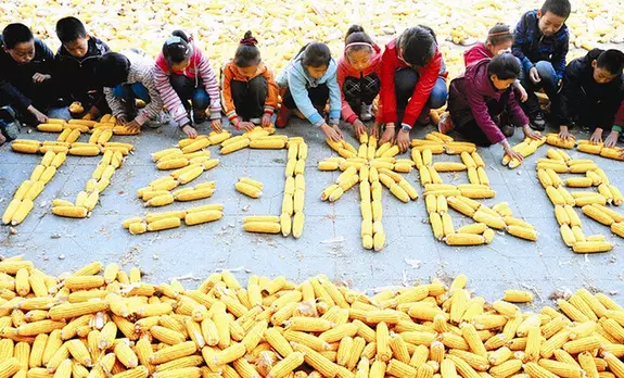 10.16世界粮食日:愿世界再没有饥饿!