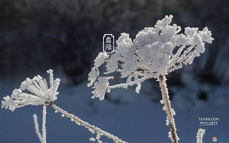 今日霜降 拒绝生病!健康入冬秘诀就一个字,您猜对了吗?