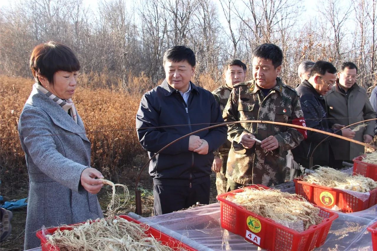 王敬先在牡丹江林区调研时强调 大力创新经营管理体制机制 促进区域