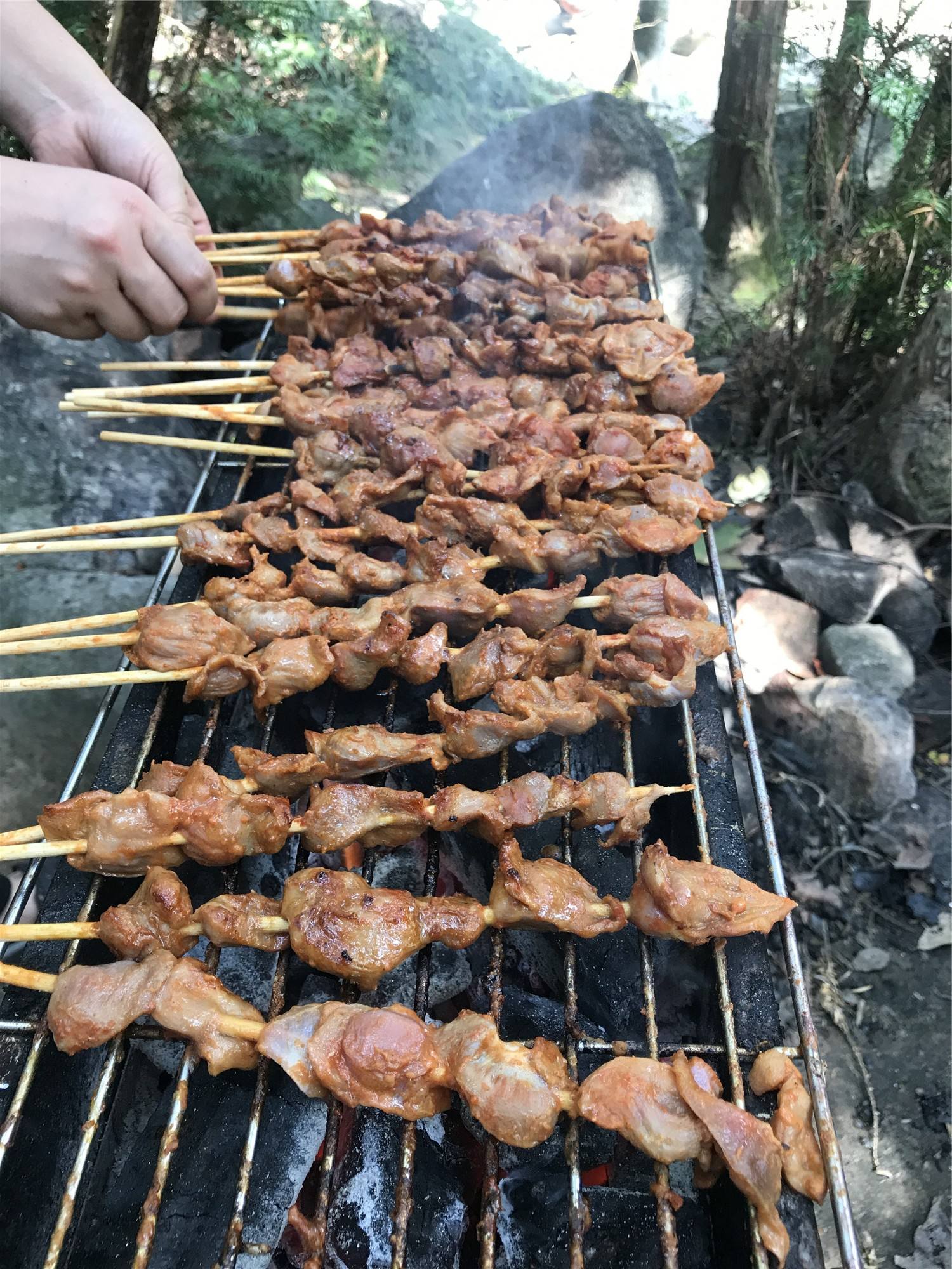 【野炊时光】微生活带你户外野炊,烧烤猪肉饭带你欢度