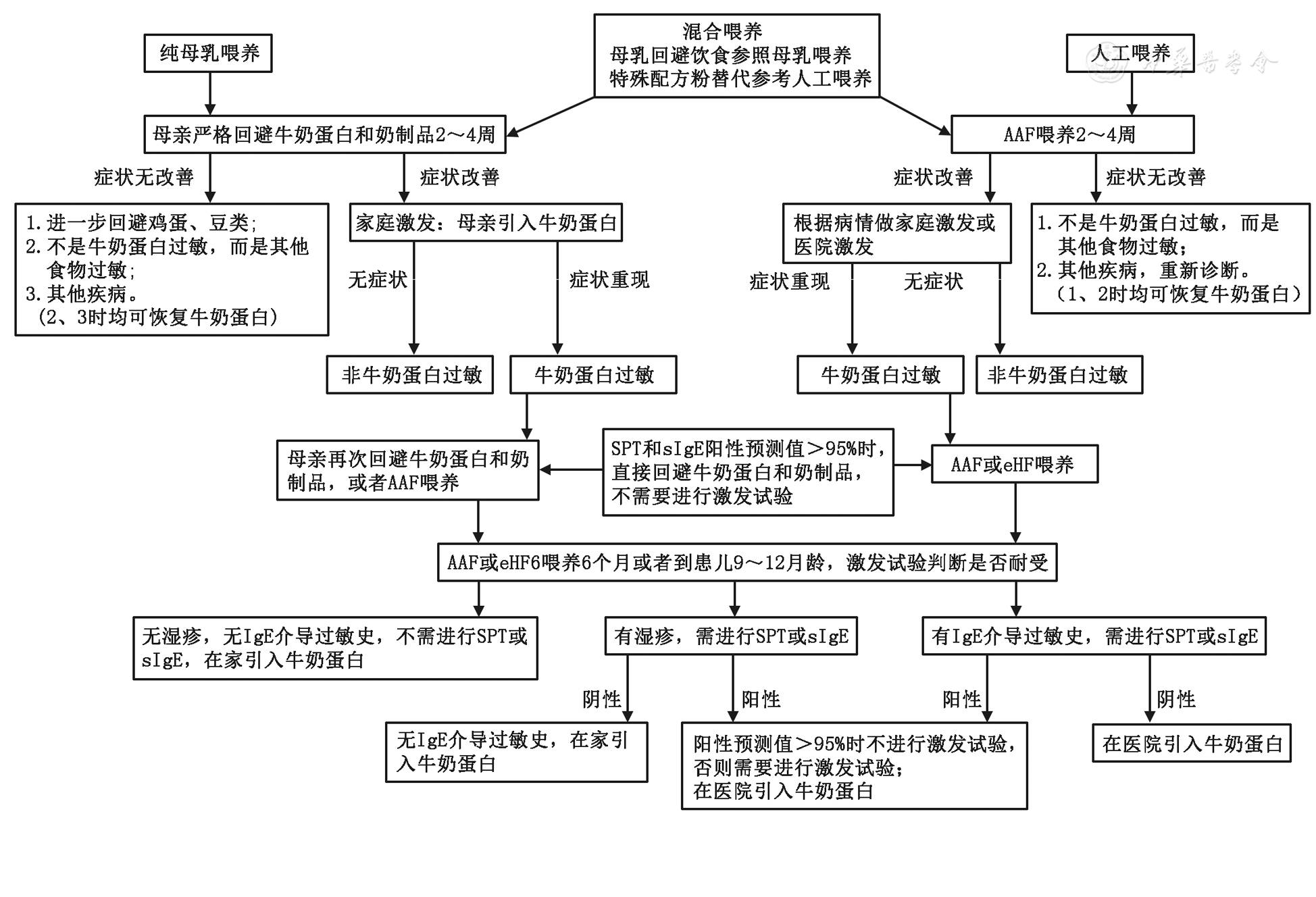 牛奶蛋白过敏营养管理流程图