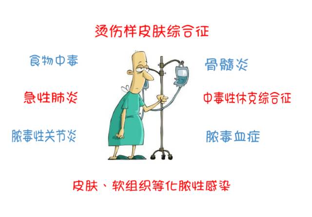 认病原打怪兽系列四人类化脓性感染与食物中毒的凶手金黄色葡萄球菌