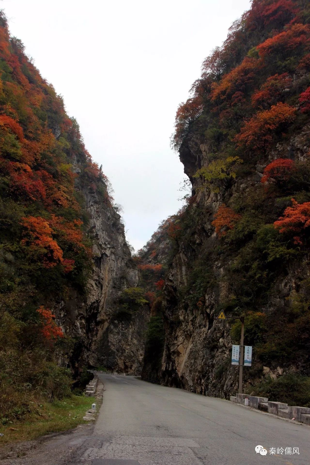 新闻快讯商洛原创歌曲商於古道在秦岭之颠开拍赵宏商洛