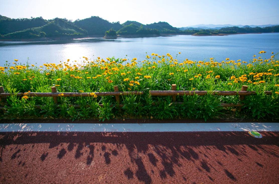 杭州淳安·环千岛湖绿道 千岛湖环湖绿道浪漫地仿若一道绯红彩霞.