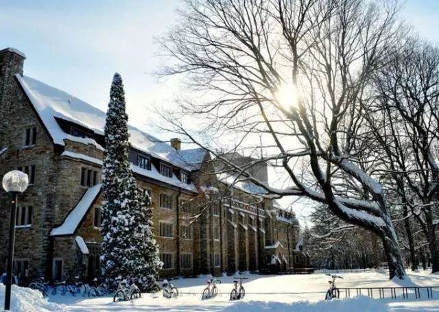 学生眼中最好大学排行榜,哈佛耶鲁居然没上墙?