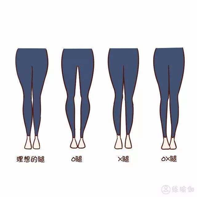 女人的颜值取决于骨盆,除了滋阴缓解痛经,它还能改善xo型腿