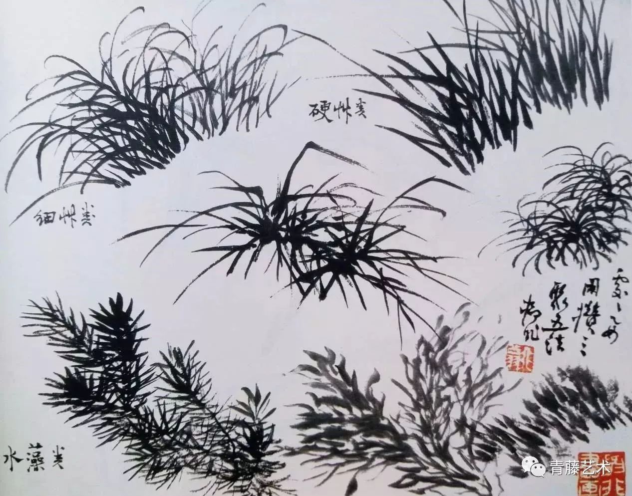 名师课徒稿:跟着陆抑非画花卉