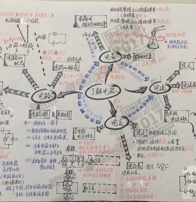 思维导图脉络清晰