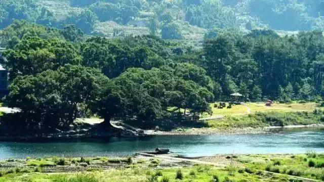 赣州上犹各村多少人口_赣州上犹五指峰